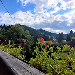 Rezydencja Lesny Dwor