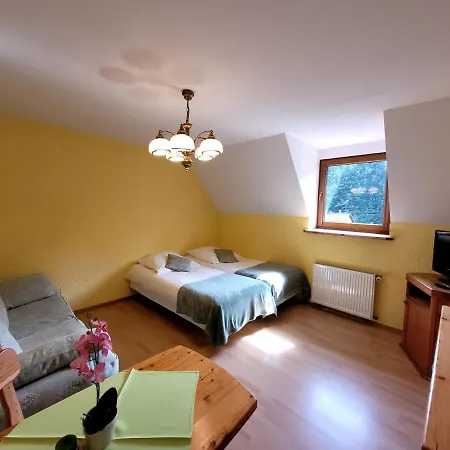Bed & Breakfast Rezydencja Lesny Dwor 4*