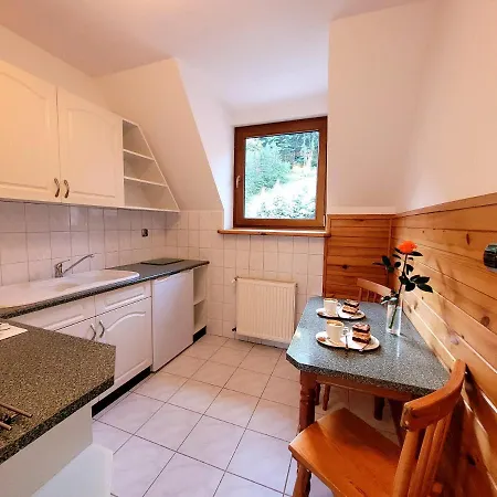 Bed & Breakfast Rezydencja Lesny Dwor 4*