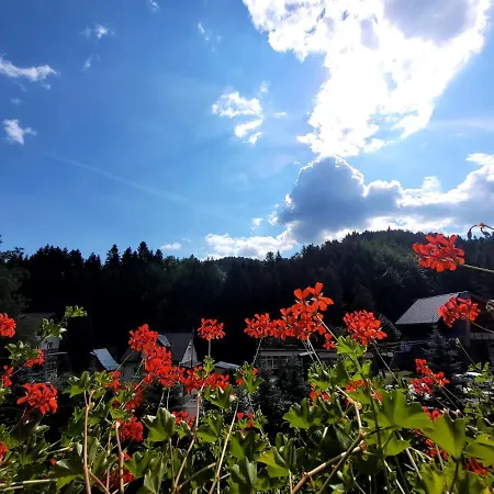 Rezydencja Lesny Dwor Piwniczna-Zdroj