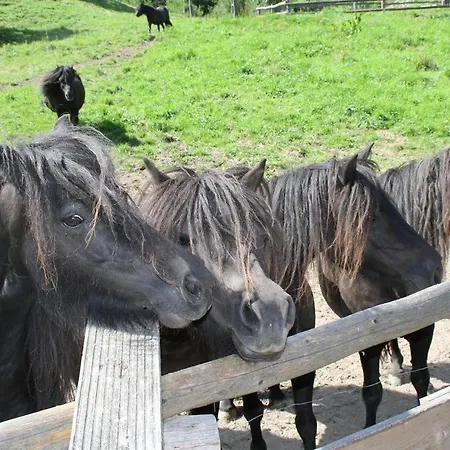 Oda ve Kahvaltı Lesny Dwor Piwniczna-Zdroj