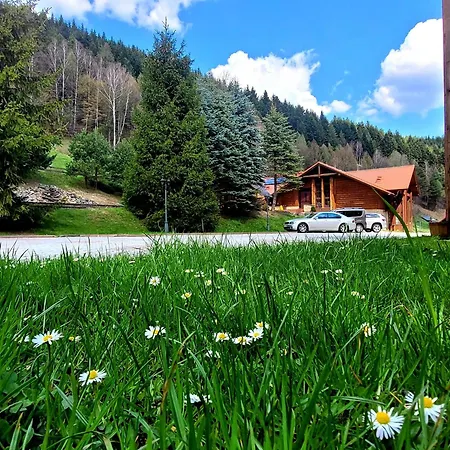 Bed & Breakfast Rezydencja Lesny Dwor
