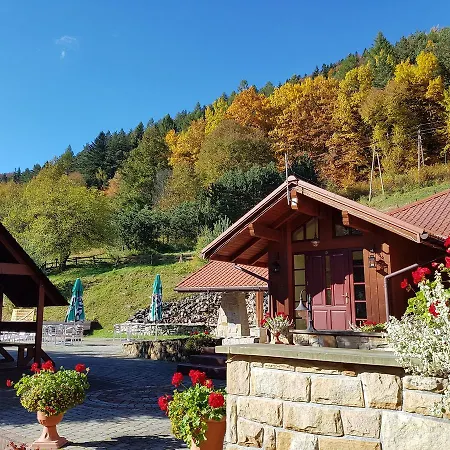 Rezydencja Lesny Dwor